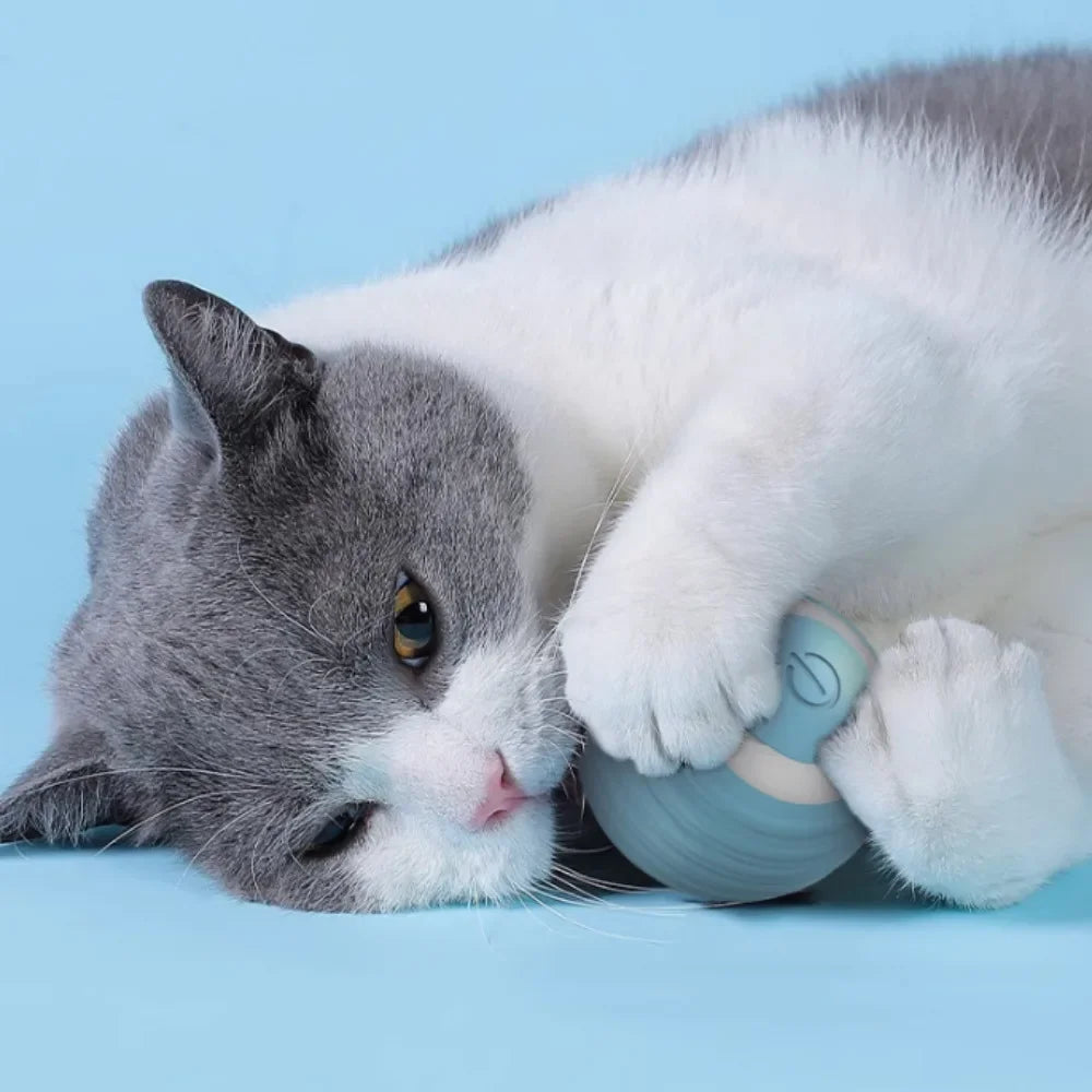 Smart Rechargeable Self-Moving Rolling Ball Cat Toy