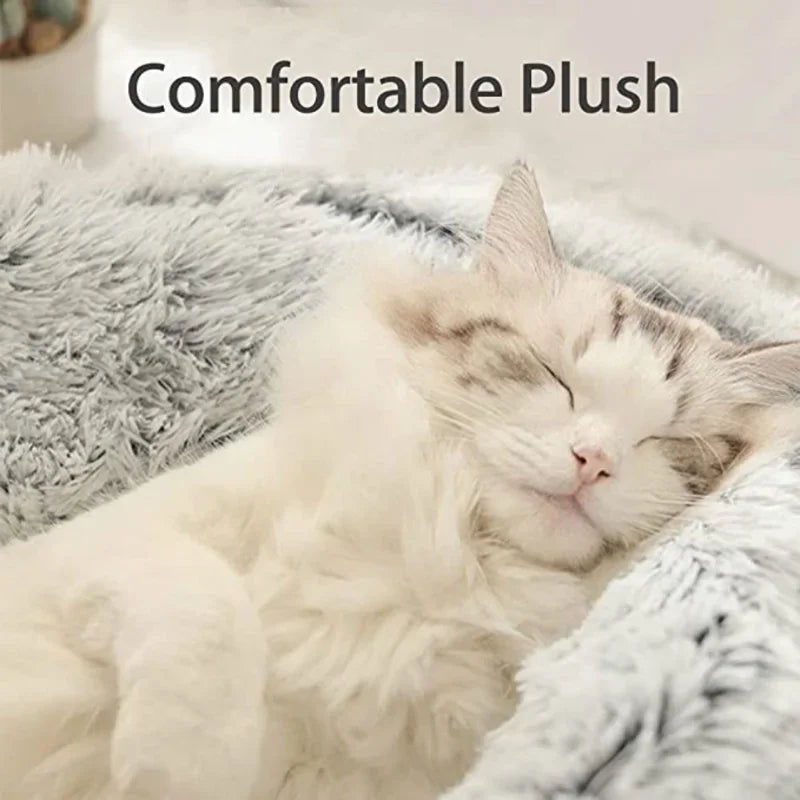 Winter Plush 2-in-1 Cat Bed and Warm Basket