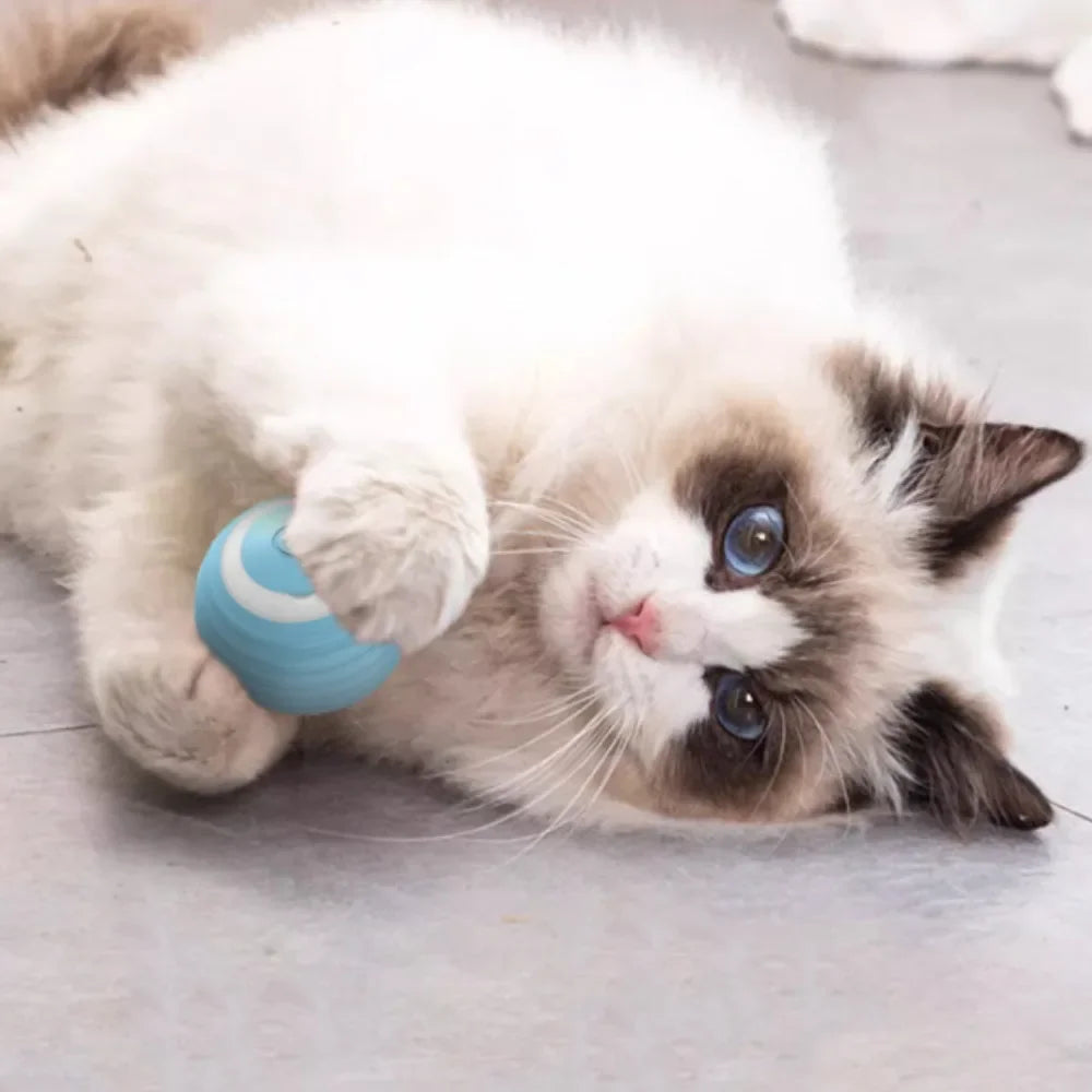 Smart Rechargeable Self-Moving Rolling Ball Cat Toy