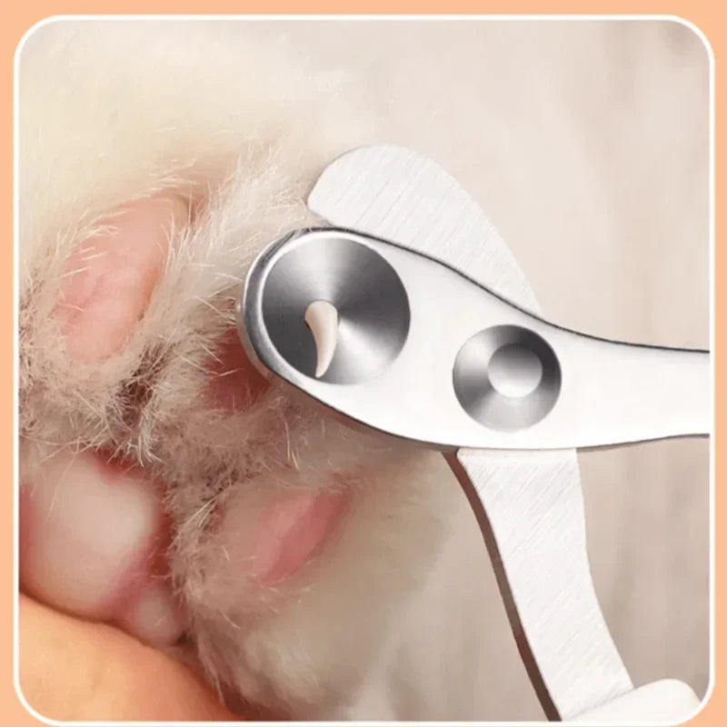 Professional Stainless Steel Nail Clippers for Cats and Dogs