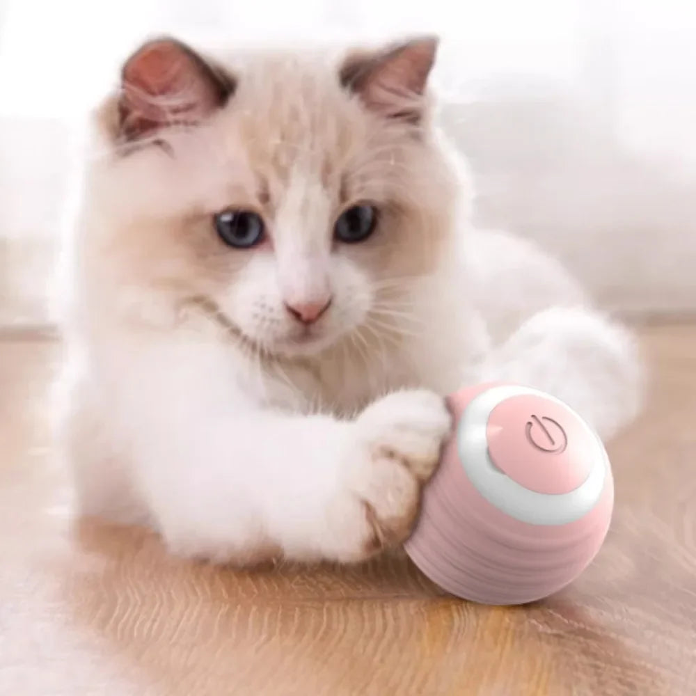 Smart Rechargeable Self-Moving Rolling Ball Cat Toy