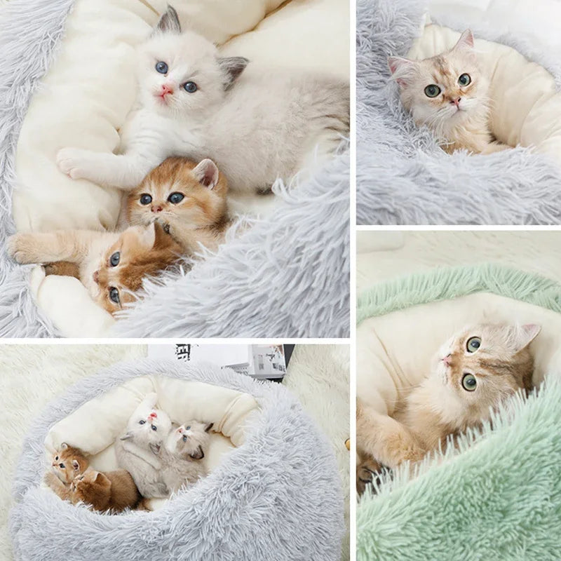 Winter Plush 2-in-1 Cat Bed and Warm Basket