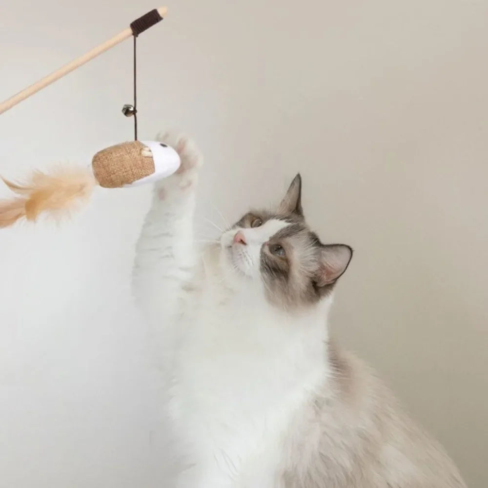 Colorful Feather Teaser Wand Toy for Cats