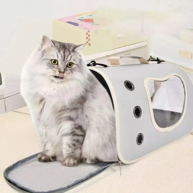 Portable Foldable Cat Travel Backpack with Mesh Window