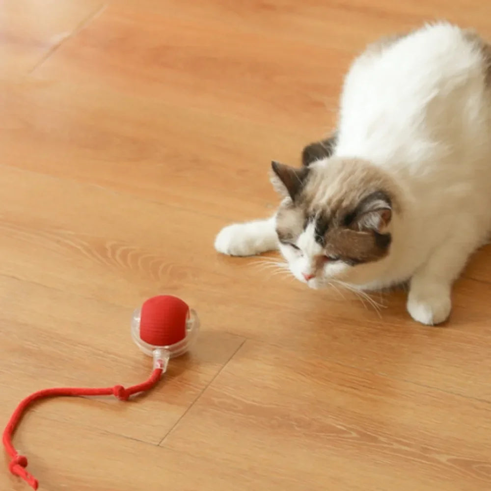 Smart Rechargeable Self-Moving Rolling Ball Cat Toy
